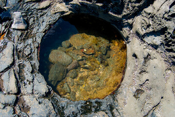 Circular Tidepool in Maui Hawaii