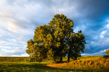 Beautiful landscape from the country in the Republic of Moldova. Green nature in Europe. Rural ecological tourism.