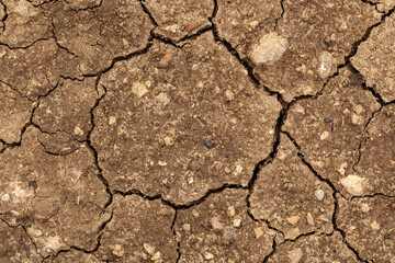 Texture of the dried earth with clay and sand close up or brown dry soil or cracked ground texture background. The theme of ecology and global warming