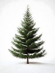 Fototapeta premium Festive Christmas tree