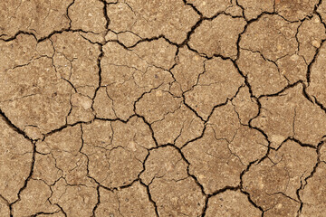 Texture of the dried earth with clay and sand close up or brown dry soil or cracked ground texture background. The theme of ecology and global warming