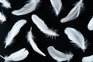 Fototapeta premium White feathers floating on black background create serene and delicate atmosphere. soft texture and gentle curves of feathers evoke sense of calm and tranquility