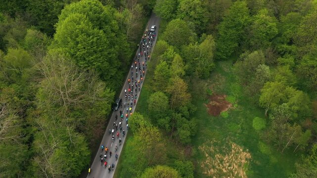 Bicycle race on the highway in the middle of the forest. A group of cyclists ride along the road, accompanied by a car, athletes compete with each other in bicycle races. Bicycle race among