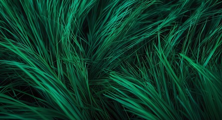 Obraz premium Close-up view of dense green grass blades, showcasing a natural, textured pattern perfect for backgrounds or nature-themed designs.