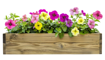 Wooden planter box filled with various green plants isolated on a transparent background.
