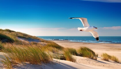 Fototapeta premium Serenity by the Shore: The Tranquil North Sea Landscape
