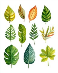 Obraz premium Tropical Paradise: Exotic Leaves and Flowers in Vibrant Watercolor Illustration, Perfect for Wedding Invitations and Decor