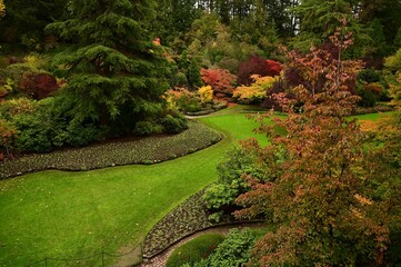 Vibrant autumn garden with colorful foliage and a serene pathway in a lush park