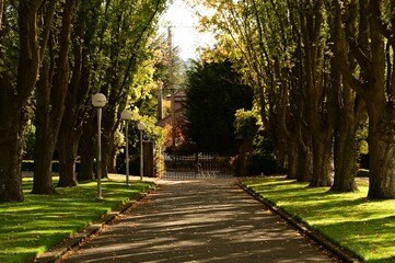 Serene tree-lined pathway with vintage street lamps leading to a gated entrance in a lush park