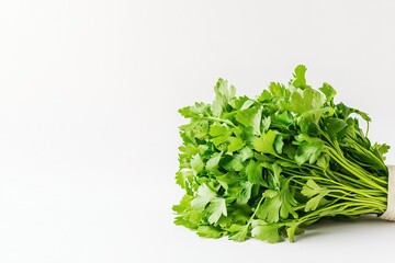 Obraz premium Fresh cilantro bunch on white background