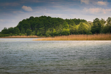 Tranquil Forest Scene by a Calm Lake Under a Partly Cloudy Sky with Lush Greenery and Tall Reeds Along the Shoreline