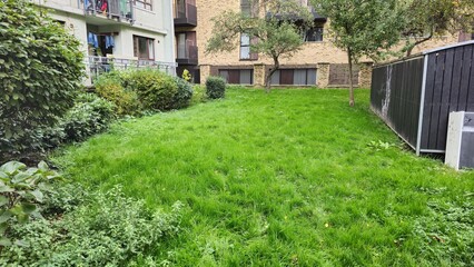 Lush Green Grass in a Residential Courtyard