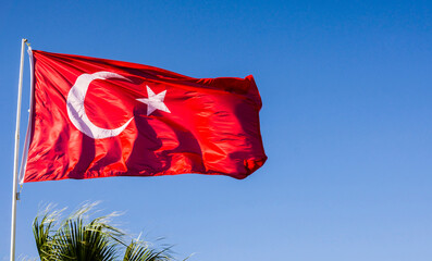 Turkish Flag Flying with Palm Leaves