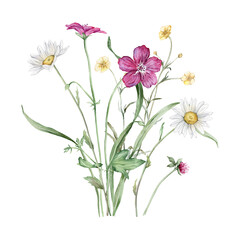 Watercolor botanical set of bouquets of summer meadow flowers. Hand drawn illustration of chamomile and forest Geranium. Yellow white and purple pink flowers and green grass on isolated background.