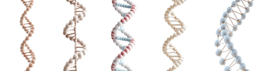 Obraz premium DNA chain 3d model set collection on transparent cutout background, PNG file. Mockup clipart template