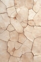 Dry, cracked earth surface texture in warm tones, natural landscape