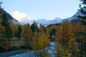 River through the Roseg Valley near Pontresina in the Alps of Graubünden in autumn