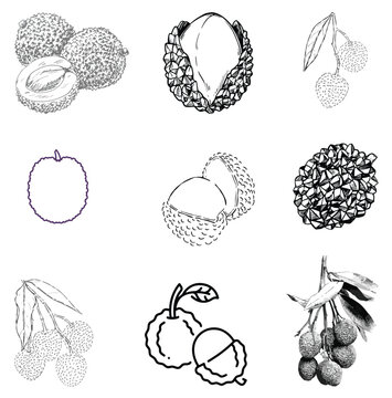 A set of lichies outlne background