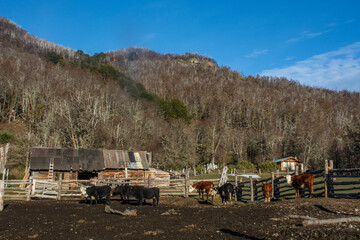 Obraz premium village in the mountains