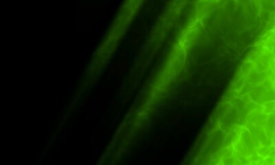 green black gradient background, black green gradient background, black green background, green black background, green, black, backgound, abstrack, gradient, texture,