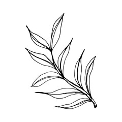 Minimalism vector branches. Graphic leaves for tattoos, invitations. black and white leaves. Set line art. Vector illustration of autumn leaves