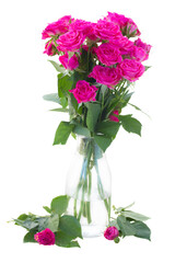posy of blossoming pink roses in vase
