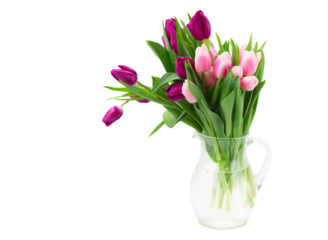 pink   and violet tulips bouquet