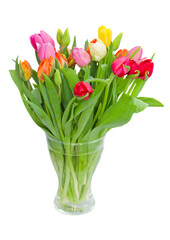 spring flowers