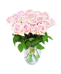Pink rose flower on transparent background