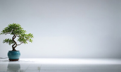 A small bonsai tree sits in a blue pot on a white tiled floor in front of a white wall