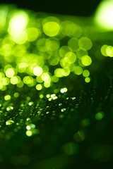 green blur background