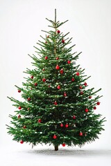 Fototapeta premium Christmas tree, detailed, white background