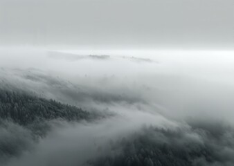 Fototapeta premium Enchanted Veil: Serene Fogscape for Atmospheric Depth 