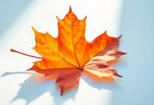 A leaf that has the word autumn on it