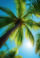 vibrant green palm leaves set bright blue sky highlighting color palette, tropical, sunlight, foliage, botanical, summer, exotic, landscape, scenery, leaf