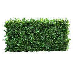 Obraz premium Lush green trimmed bush fencing ideal for privacy and garden landscaping in a serene outdoor space, green trimmed bush fencing, file of isolated object with shadow on transparent background