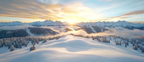 Obraz premium A view of a snowy mountain range with trees in the foreground