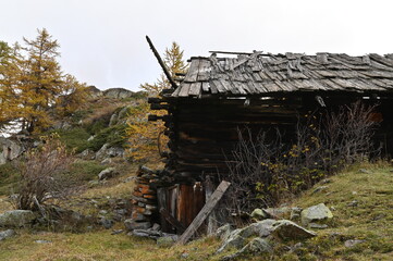 Vall&eacute;e de la Clar&eacute;e, N&eacute;vache (05)