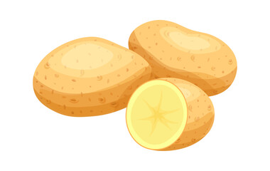Composition with potatoes in cartoon style. Vector illustration of fresh potatoes whole and cut in half isolated on white background. Healthy food. Vegetables. Harvest. Root crops. 