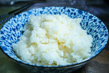 丼に守られた美味しそうな白米