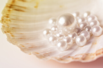 Beautiful white pearls on an oyster shell