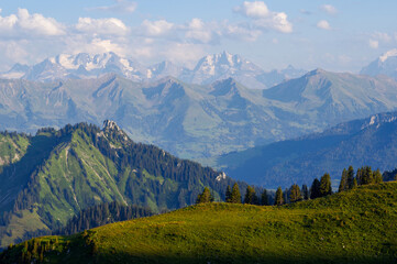 Fototapeta premium Alpine landscape in Switzerland, Alps mountains, green meadows