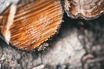 Close-up of cut wood, sawmill. Firewood