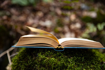 books. An open page of a book and an autumn