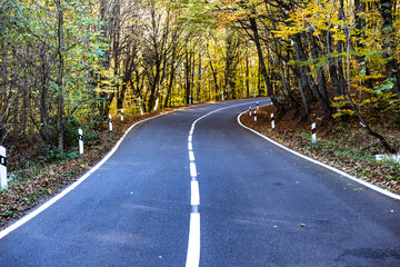 Highway road through the forest at dawn
