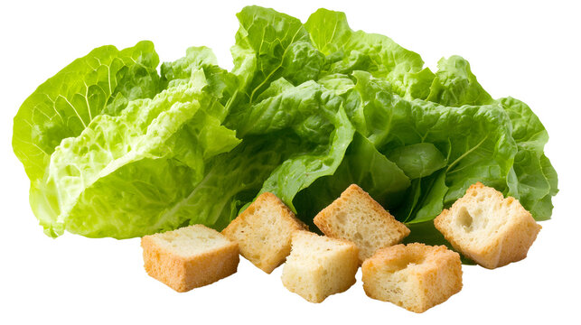Classic Caesar salad with romaine lettuce and croutons on a white background