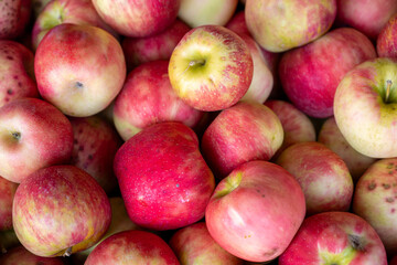 red apples background