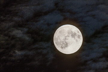 Mond