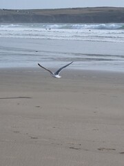 beach