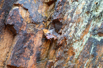 Rock formation texture